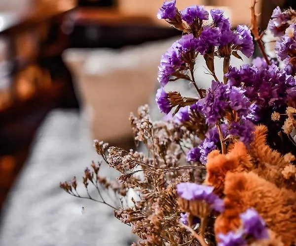 Maison Garnier De Charme Ξενοδοχείο